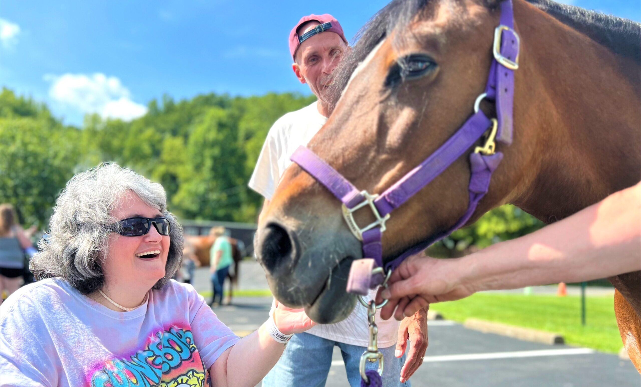 horse therapy