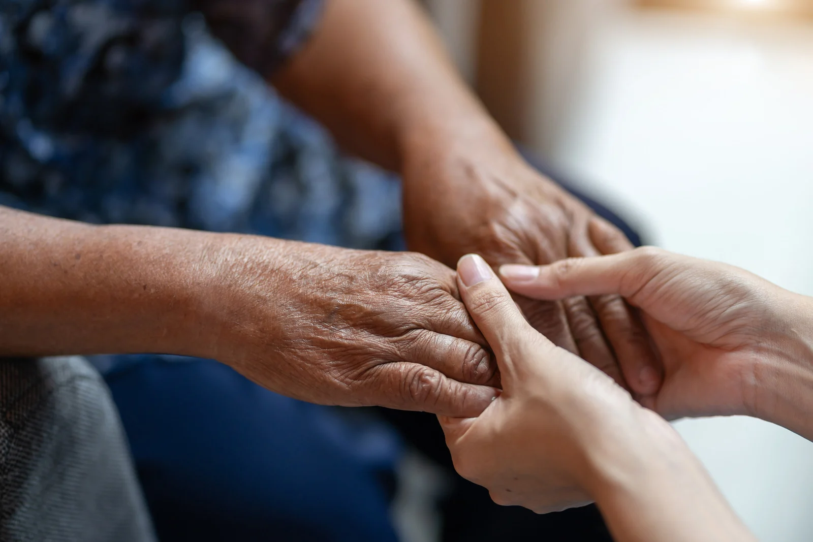 partners in care